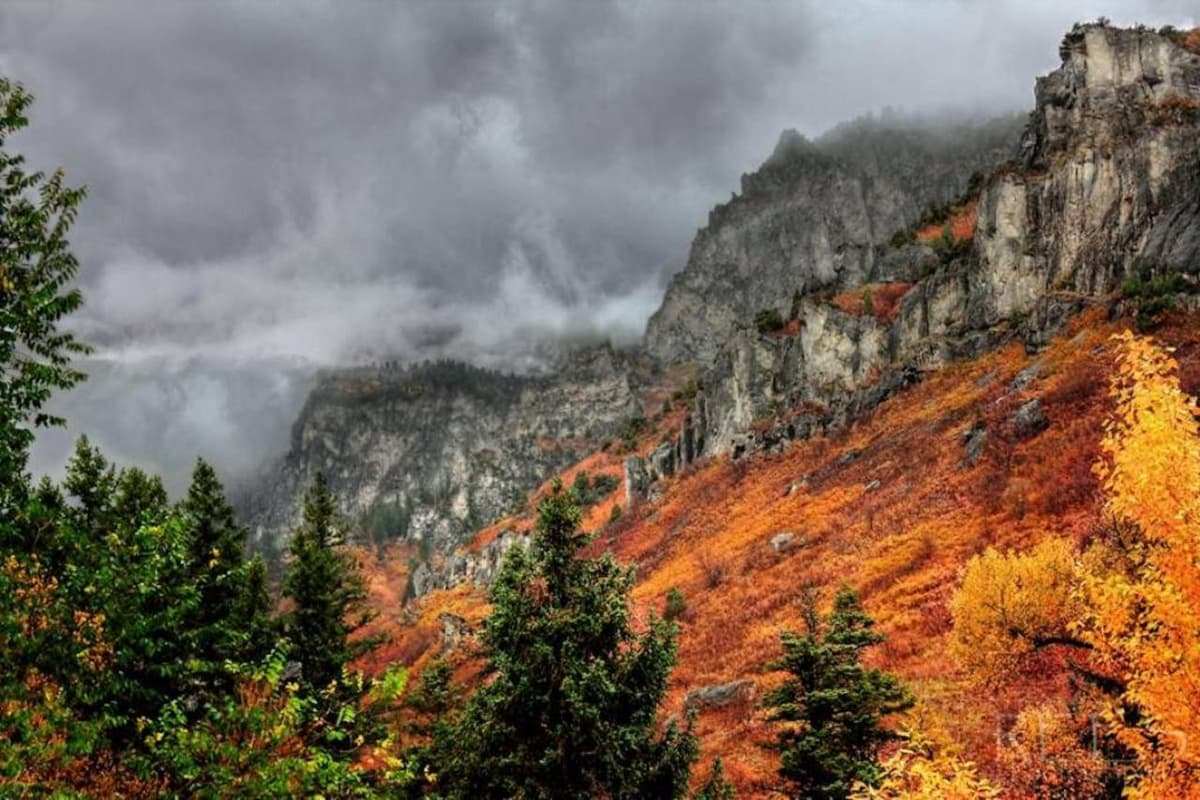 The Fall Colors Are Amazing