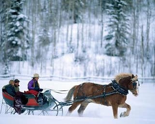 Sleigh Ride